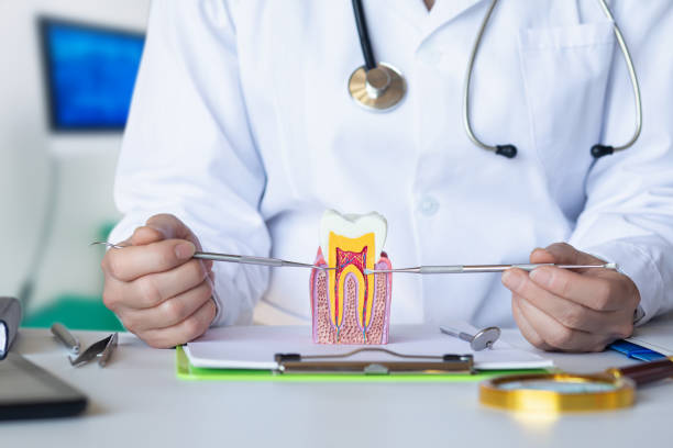 Best Emergency TMJ Treatment in Alanuk, AK